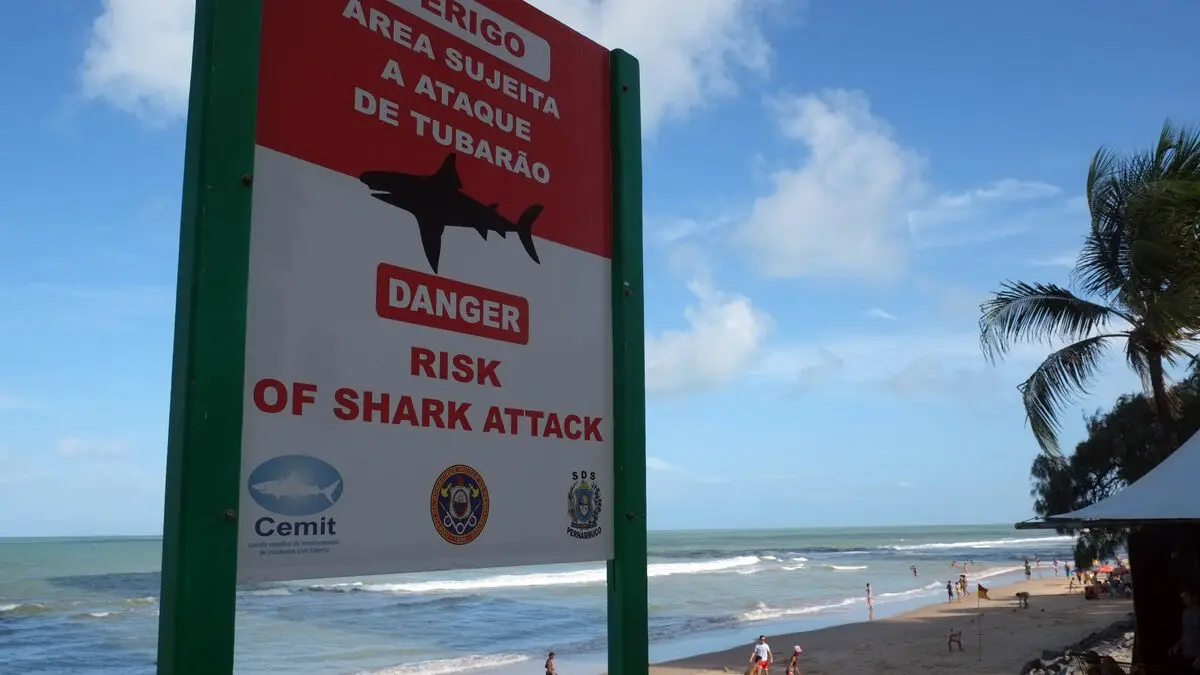 13-year-old boy dies in shark attack near Recife, Brazil
