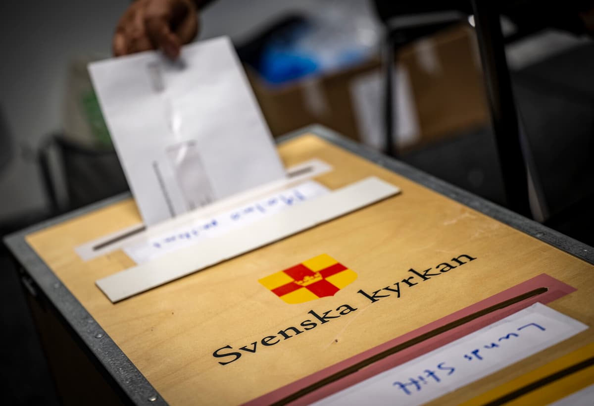 Forest Management Emerges as Key Issue in Church of Sweden Election