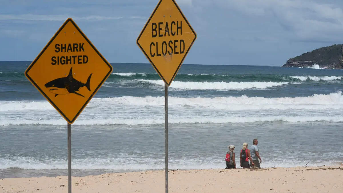 Man attacked by shark at Rottnest Island, critically injured