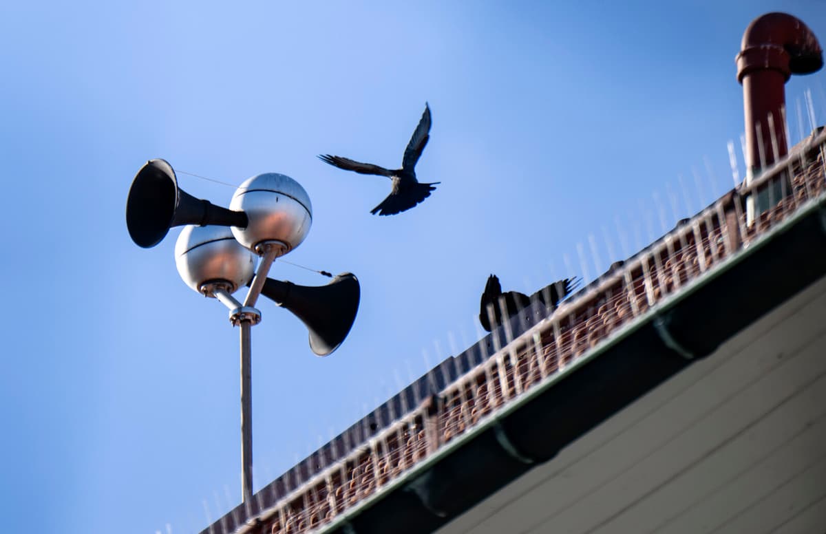 Hesa Fredrik Test Fails in Scania Due to Technical Issues