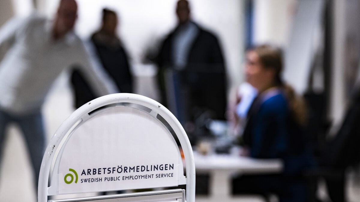 More people went to work and study in Sweden in 2025