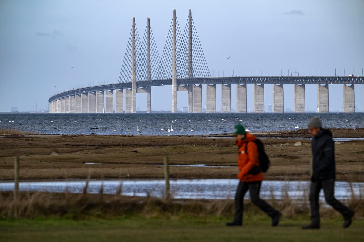 Öresund Bridge closed after accident