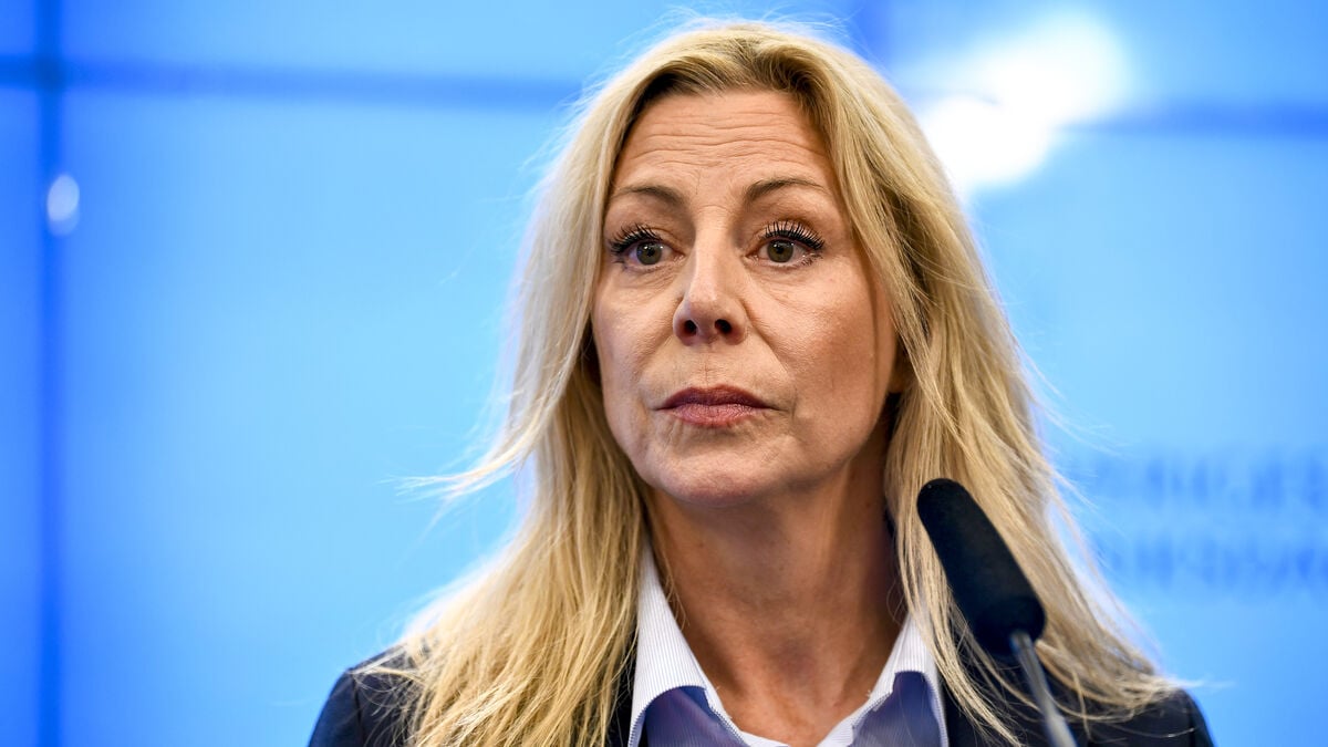 SD wants to lower the salary of so-called political savages in the Riksdag