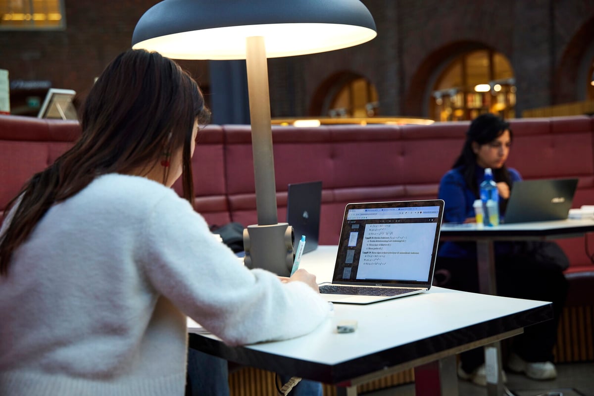 Study Abroad Numbers Drop 20 Percent Over 25 Years Due to Costs