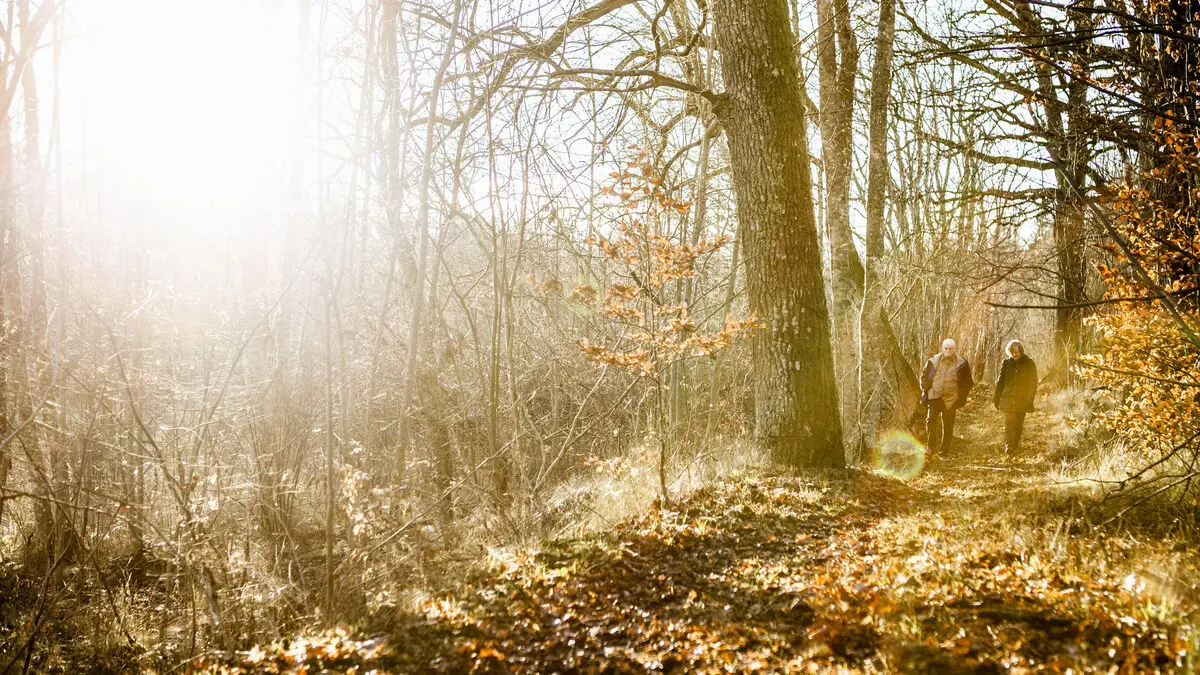 Sun all over Sweden – on the darkest day of the year