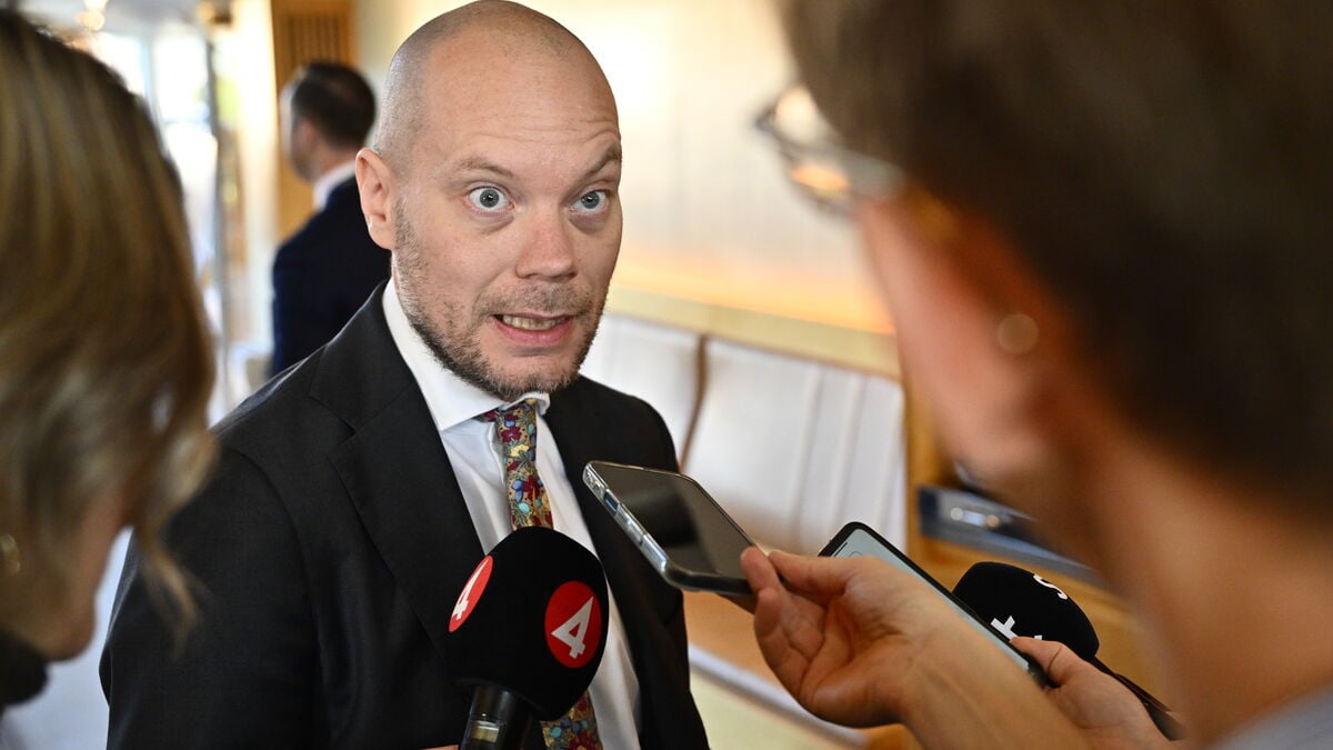 Martin Kinnunen says some may be dissatisfied with Sweden Democrats’ committee reshuffle