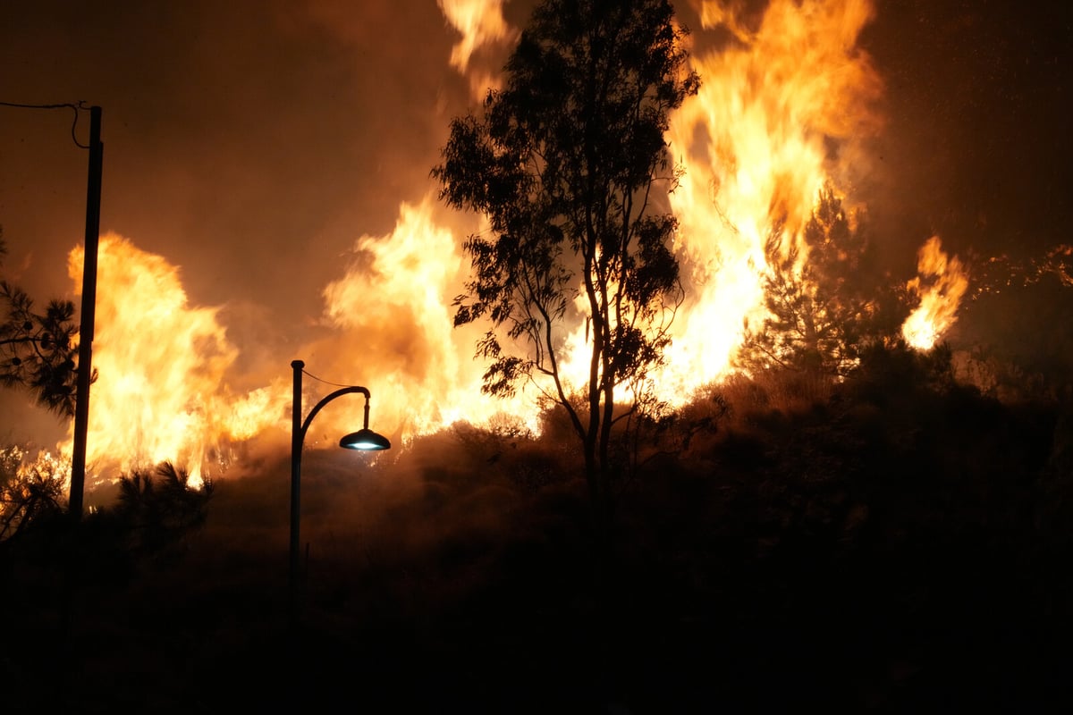 State of Emergency Declared as Fires Rage on Greek Island Chios