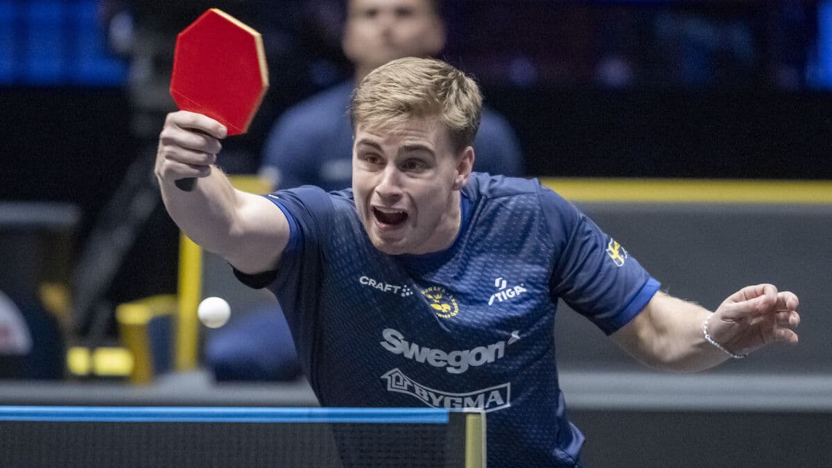 Truls Möregårdh rallies from 0-2 down to beat Patrick Franziska in Macau