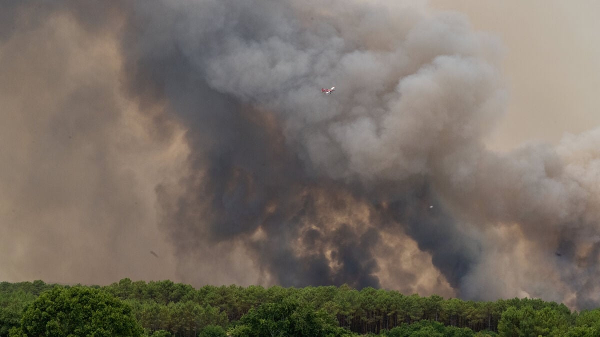 Fire thunder clouds reach France as wildfire clouds create their own storms