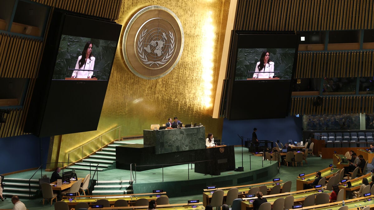 UN General Assembly: Return Ukrainian children