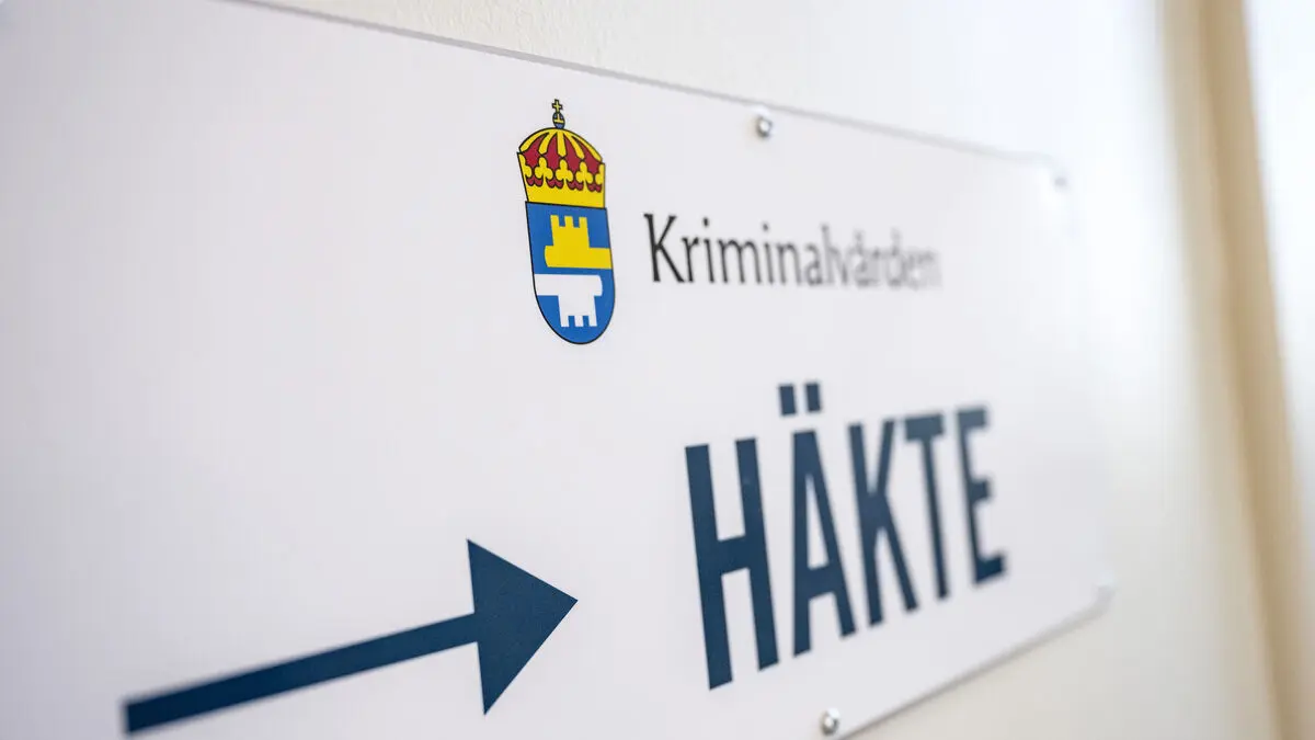 Woman arrested on suspicion of child rape in Skåne