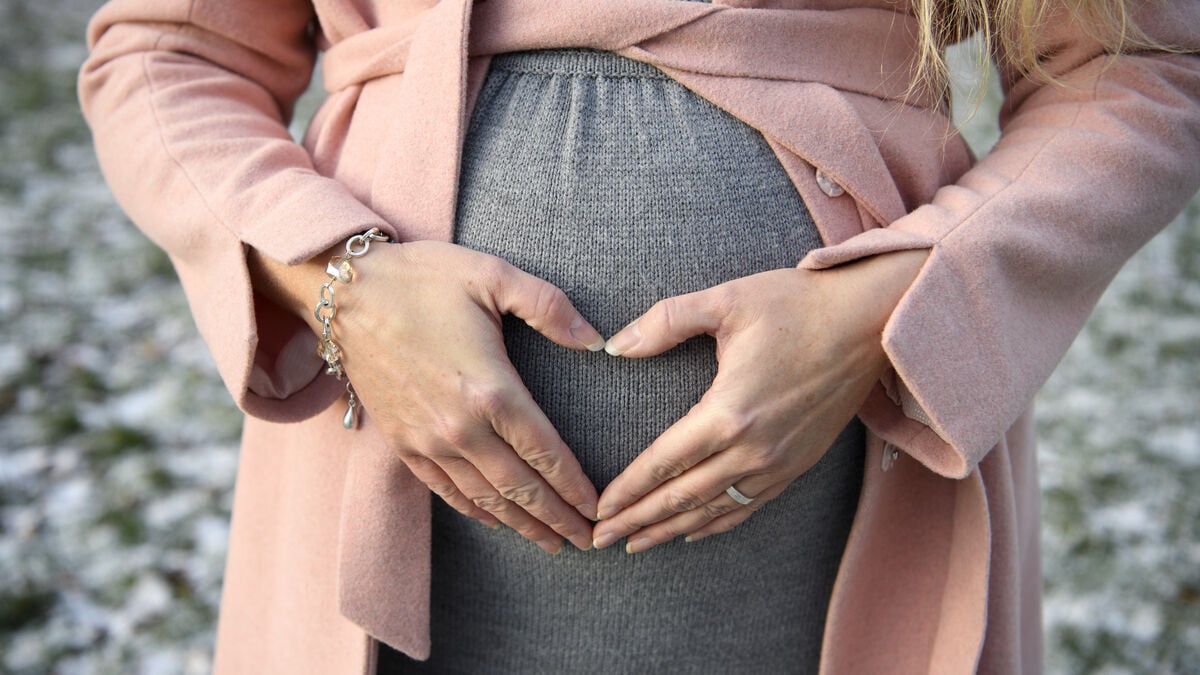 Swedish Medical Ethics Council wants to investigate possibility of more than two legal parents