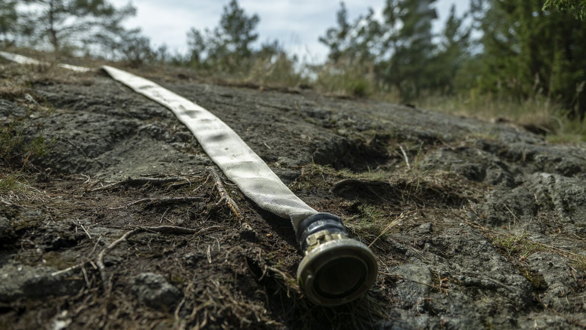 High fire risk across large parts of Sweden