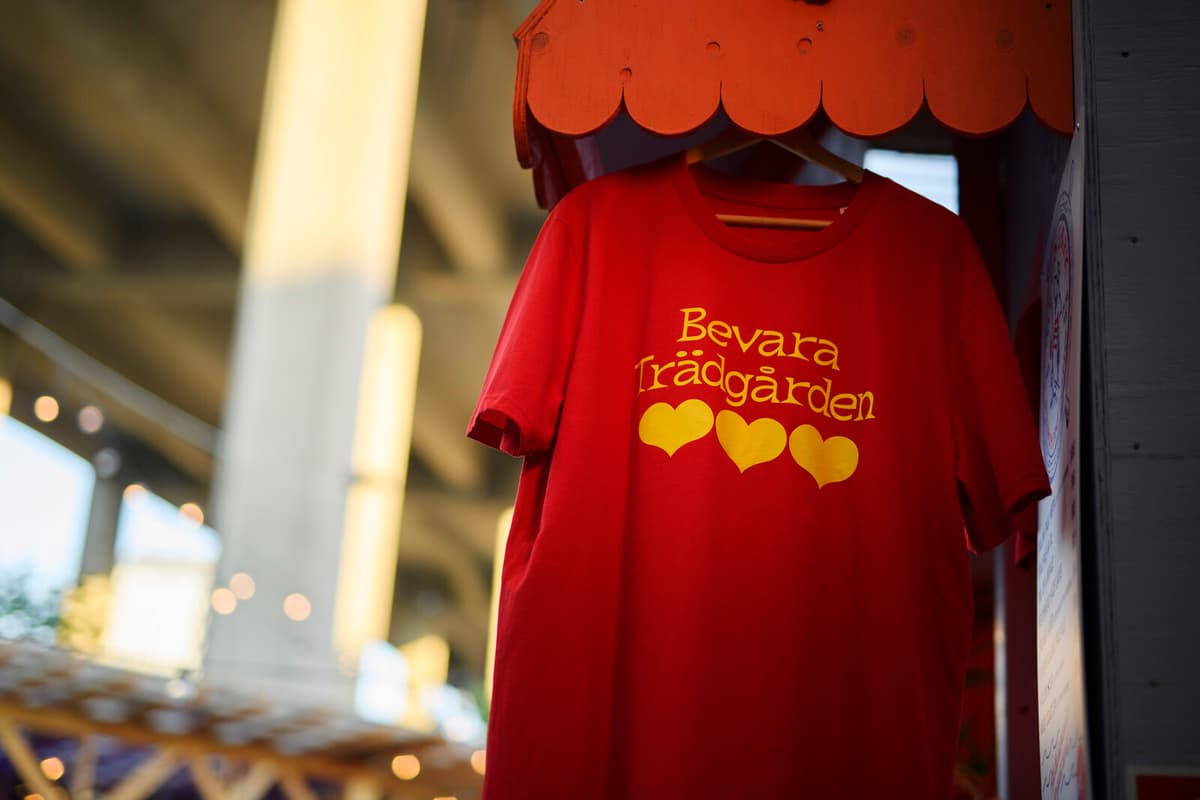 Green Party Proposes Cultural Noise Zones to Protect Concert Venues