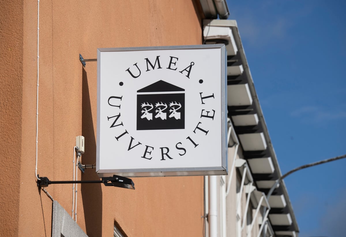 New Discovery at Umeå University Offers Hope for Pancreatic Cancer Treatment