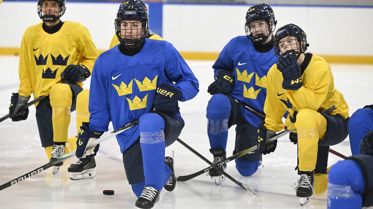 Tre Kronor defender duo missing from training - safety measure