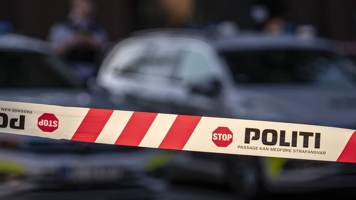 Swedish Man, 21, Gets 12-Year Sentence in Denmark for Attempted Murder