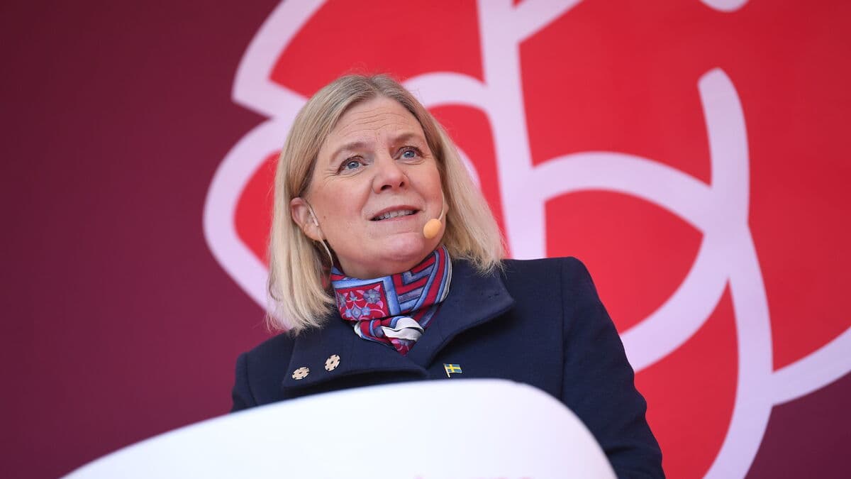 S wants to enter into a ten-year pact with M against the gangs