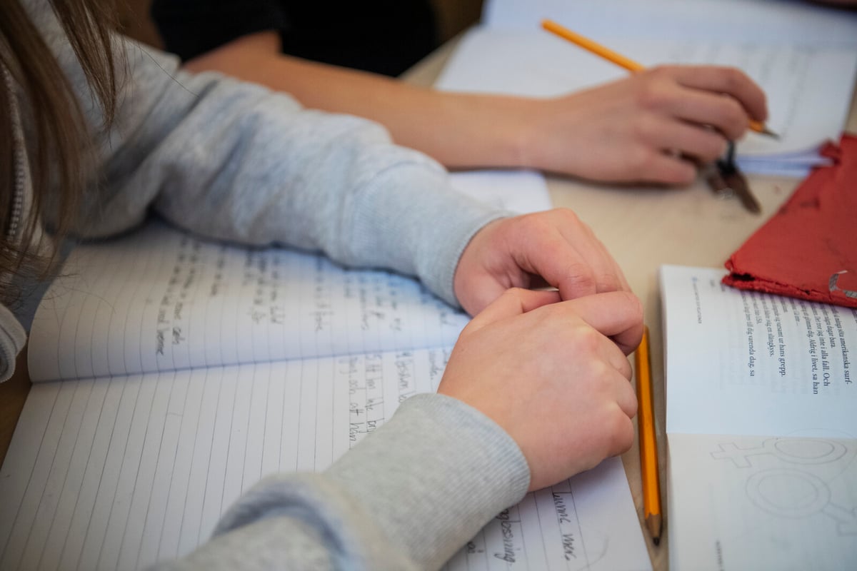 Girls' School Performance Declines in Recent Years, Report Finds