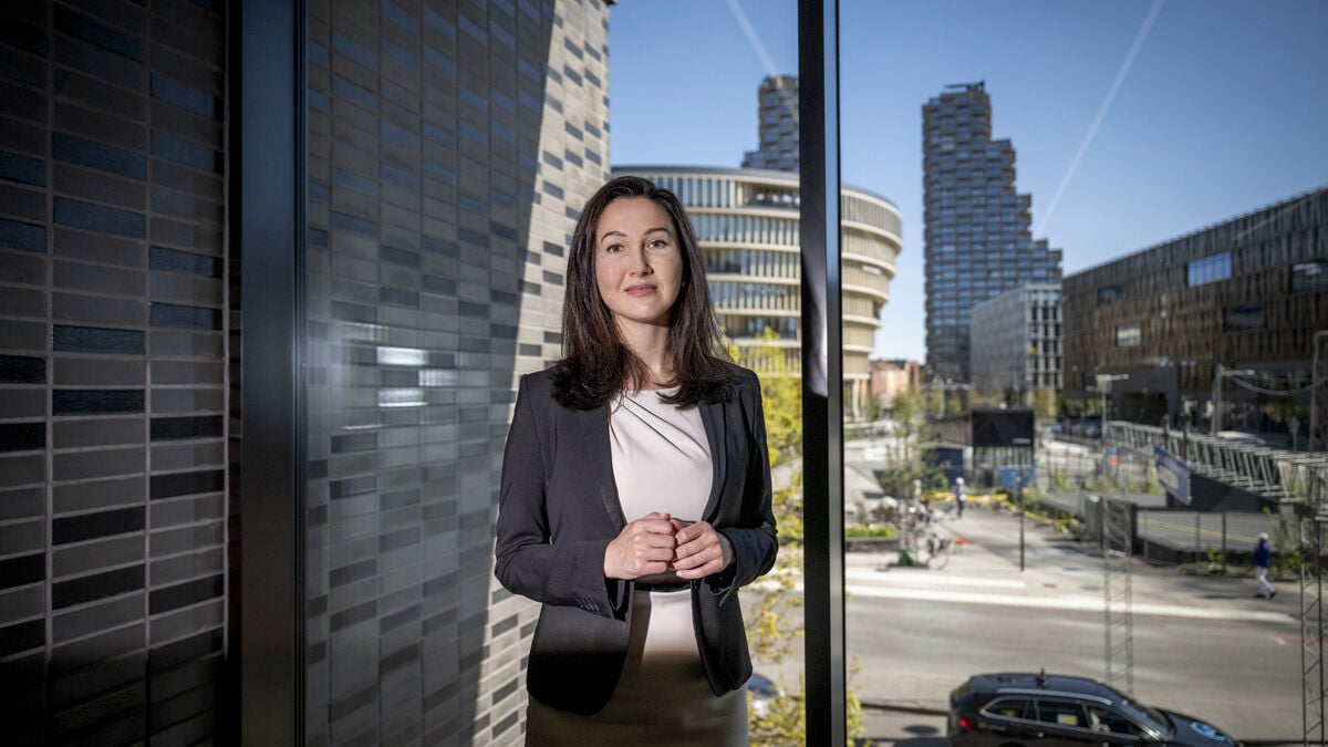 Five-Party Coalition Agrees to Govern Stockholm Region