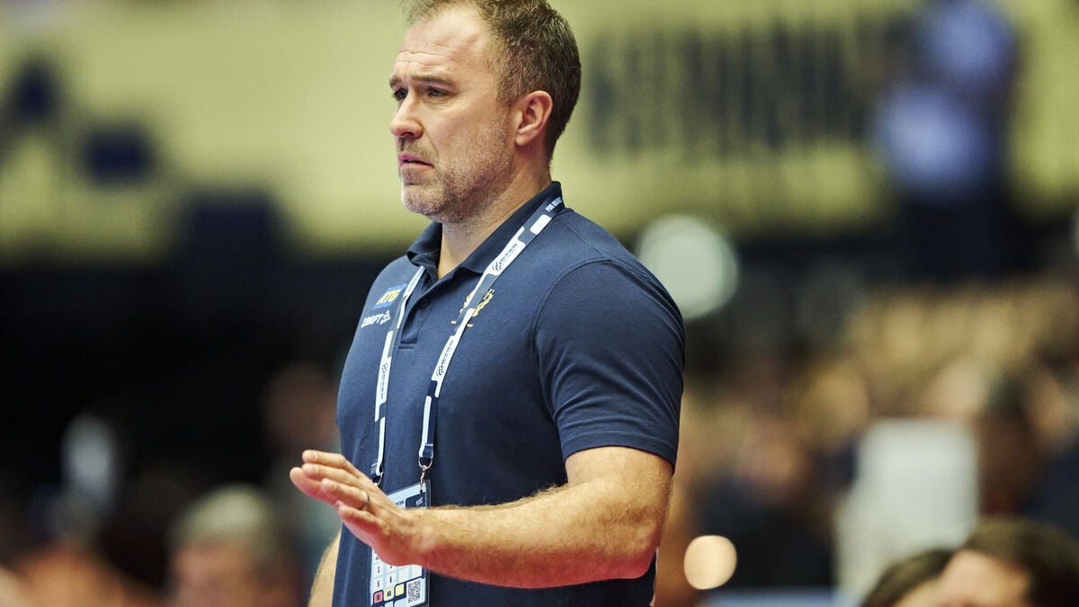 Swedish Handball Association: Full confidence in Apelgren