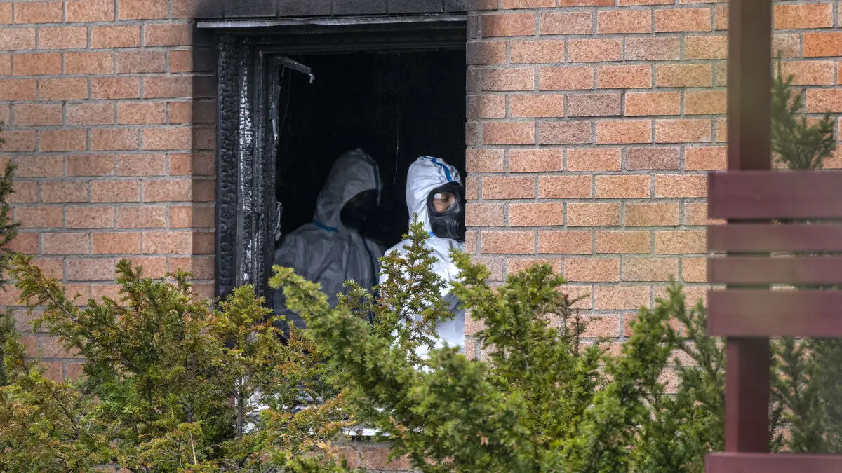 Woman and child injured by grenade - six charged