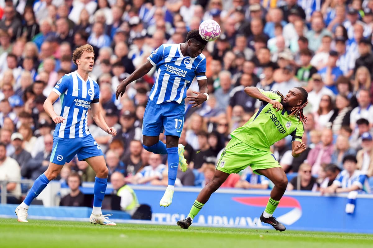 Fan Passes Away During Brighton vs Fulham Premier League Opener