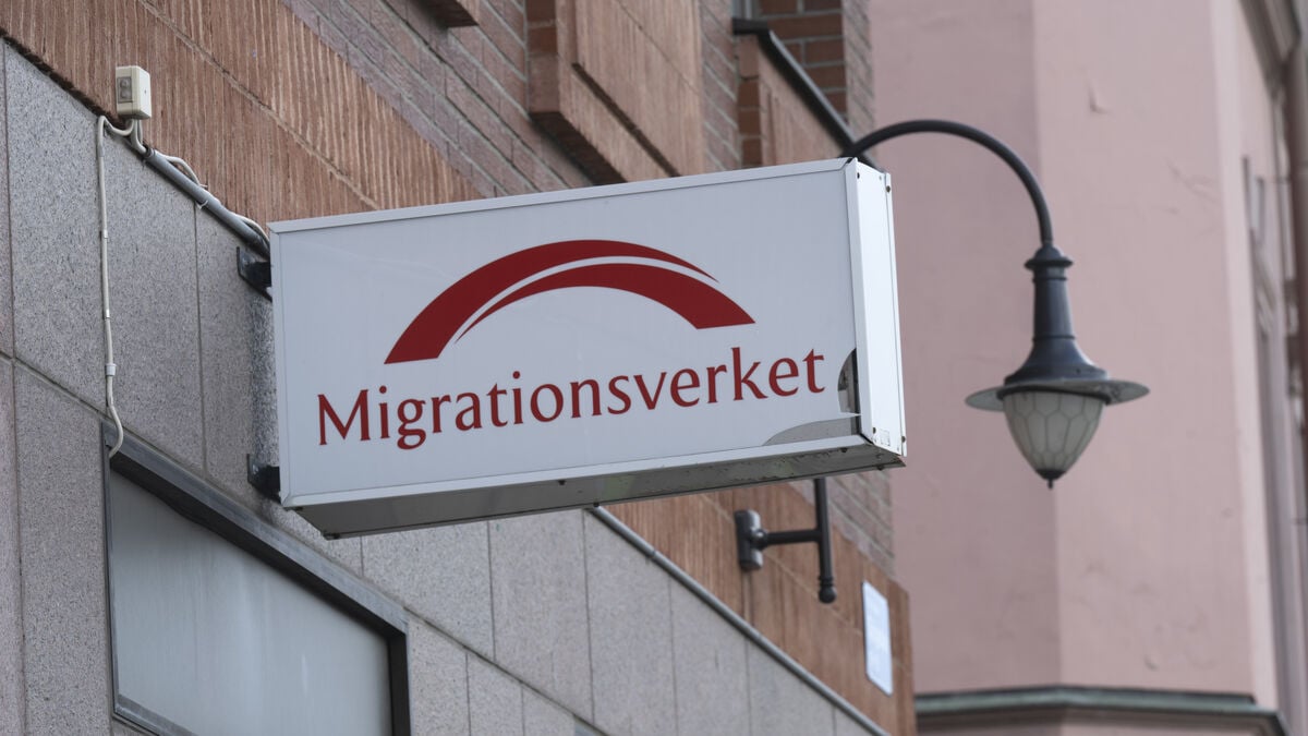 After protest defection, Swedish Migration Board ethics council member says we warned about this