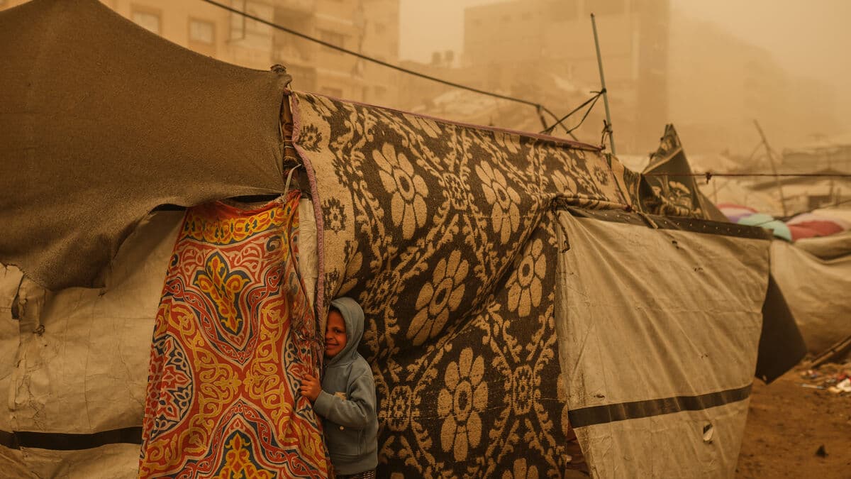 Gaza's new scourge: rats the children have never seen before