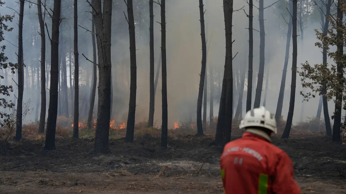 Forest fire near Bordeaux under control, French minister says