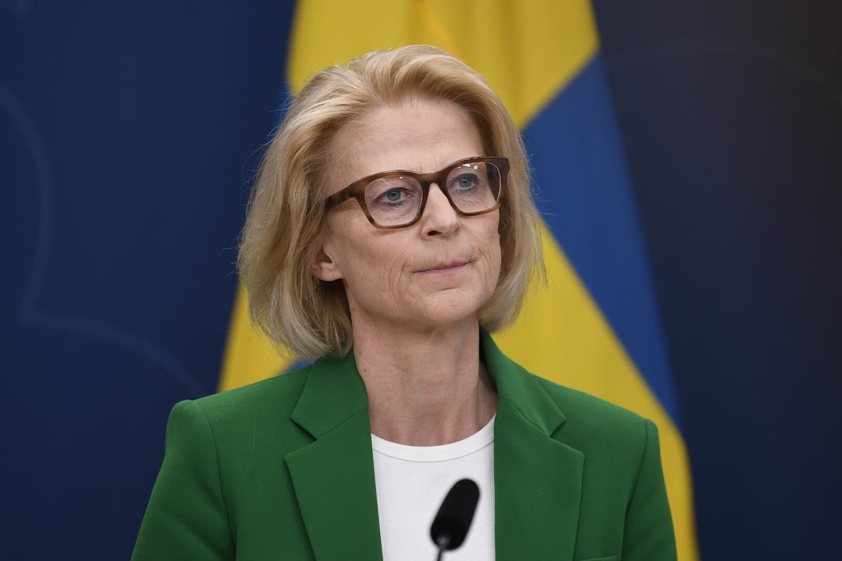 Sweden's Finance Minister Criticizes US Tariff Policy as Risky Move