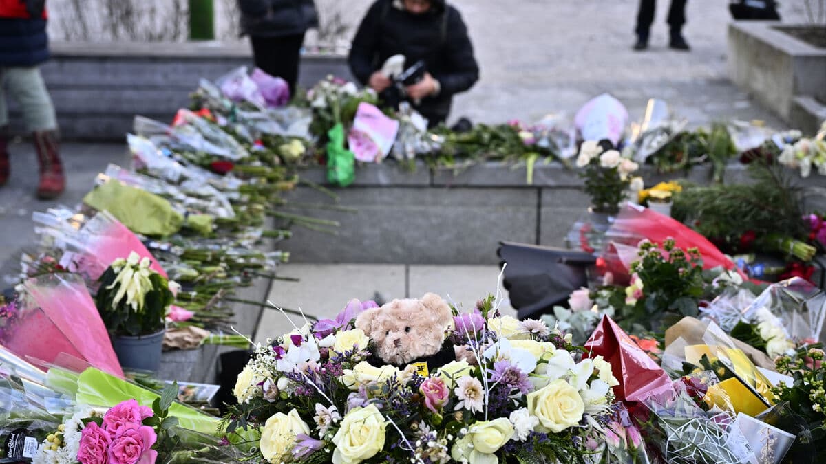 Suspect in Rönninge sought help - treatment took over a year