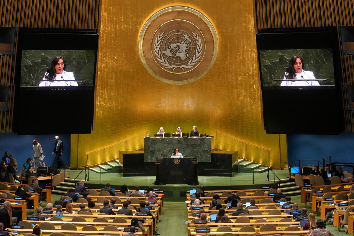 UN Forms AI Advisory Council to Address Global Concerns