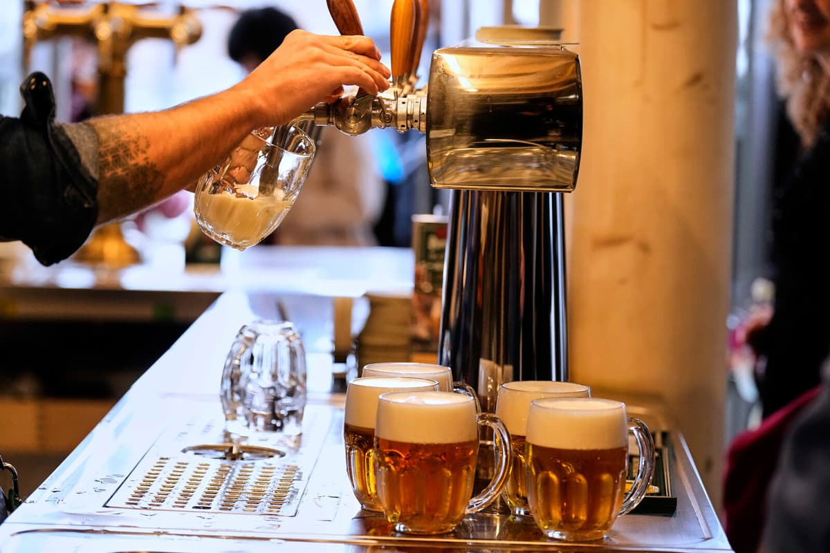 What Determines Beer Foam Stability