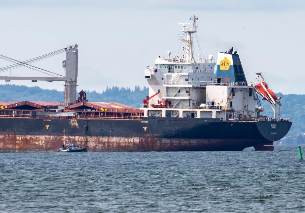 Cargo Ship Captain Fined for Negligence After Landskrona Grounding
