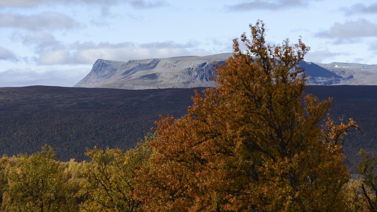 Autumn Has Already Arrived in Parts of Sweden's Mountains