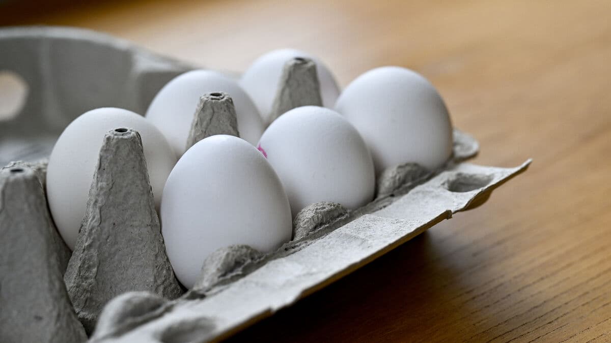Axfood also recalls eggs due to salmonella risk
