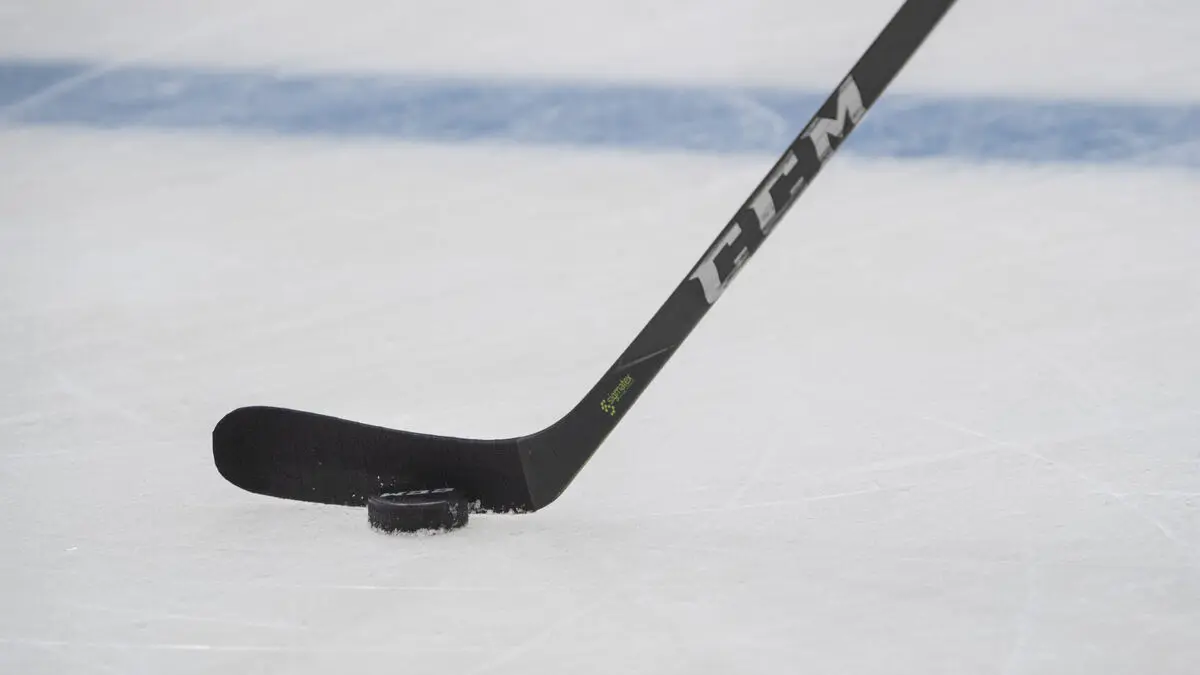 Falu IF relegated after financial problems, HockeyAllsvenskan will have 19 teams next season