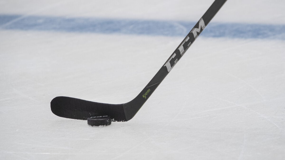 Falu IF relegated after financial problems, HockeyAllsvenskan will have 19 teams next season