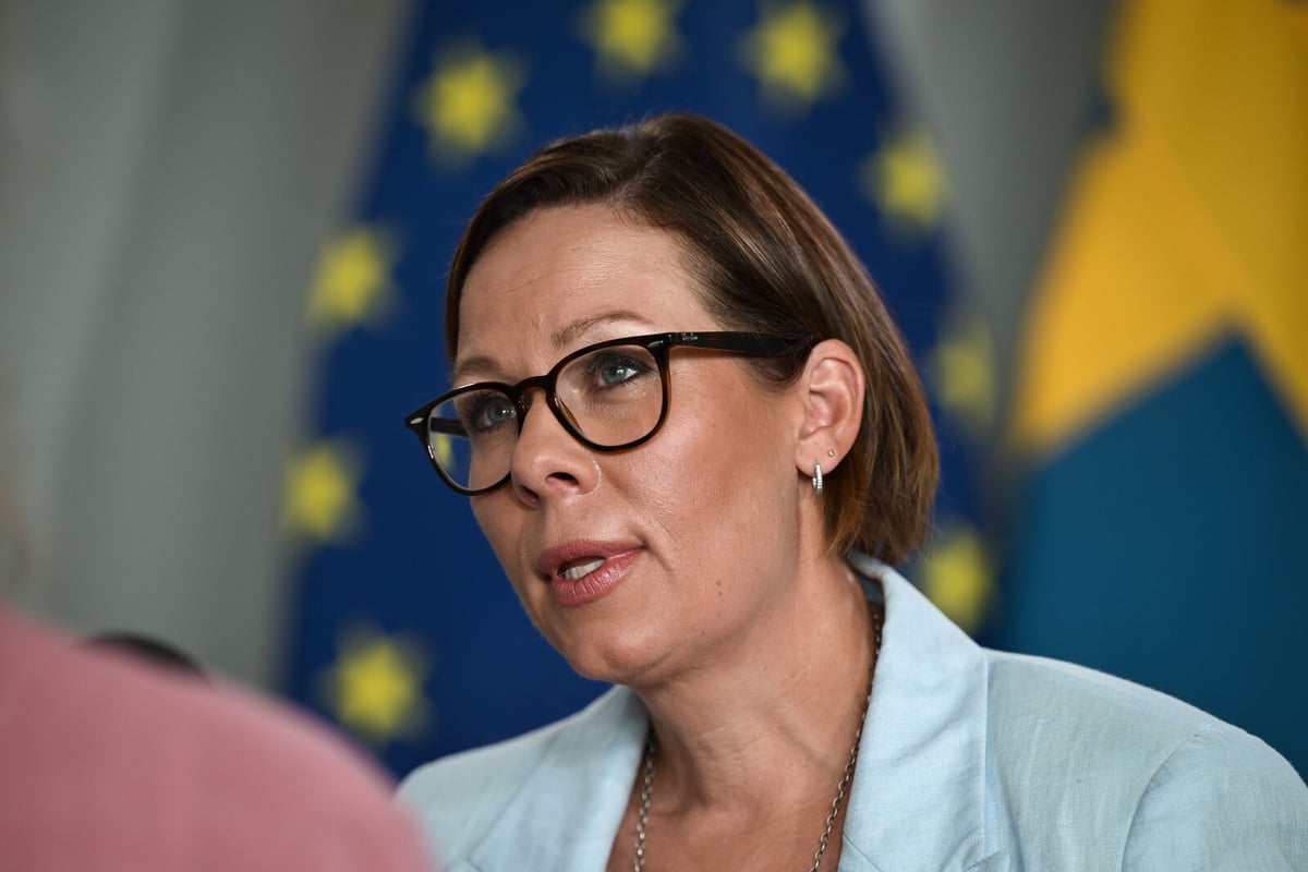 Foreign Minister Clarifies Government Stance Amid Busch's Israel Remarks
