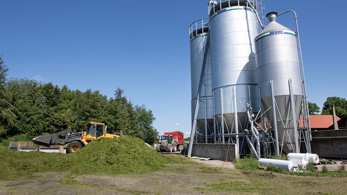 Weak confidence in the future of forestry and agriculture