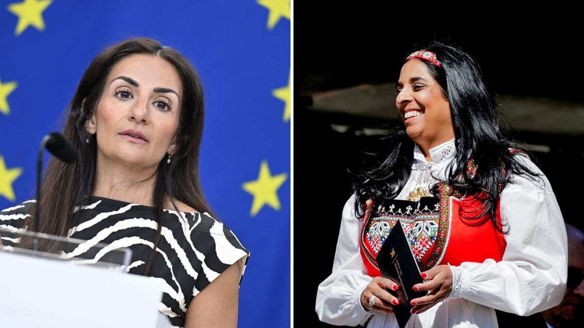 Sweden lags behind Nordic neighbours in cultural funding, researcher says