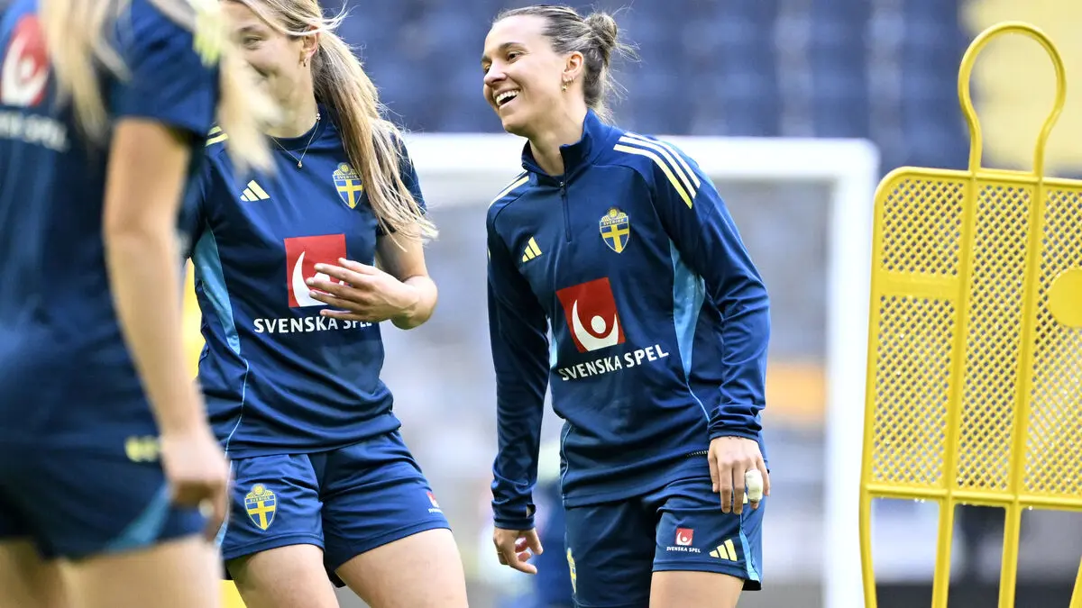 Pressured Sweden: We must have three points against Serbia