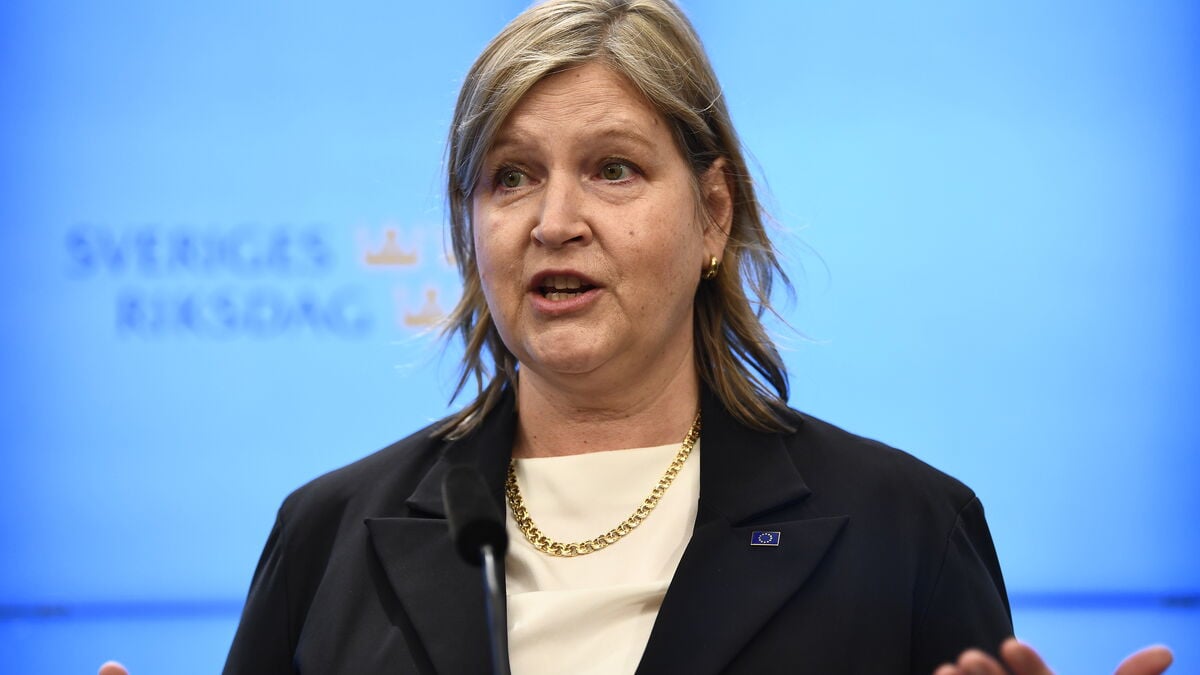 Karlsbro turns down Riksdag seat to stay in the European Parliament