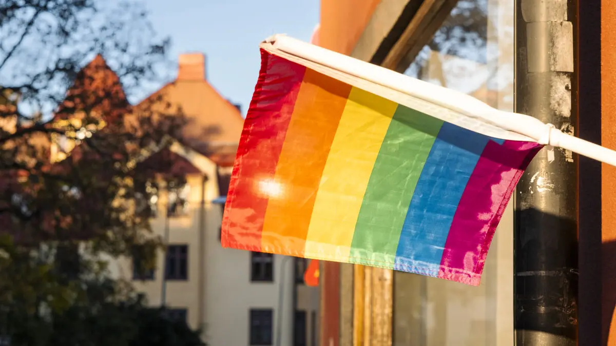 LGBTQI criticism was the biggest pressure on Swedish libraries in 2025