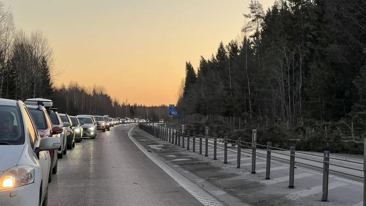 Blown down trees on roads