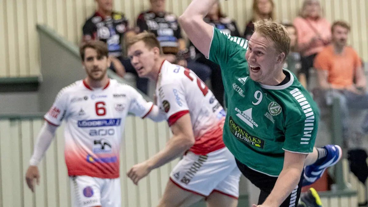 Handball player Viktor Rhodin dies