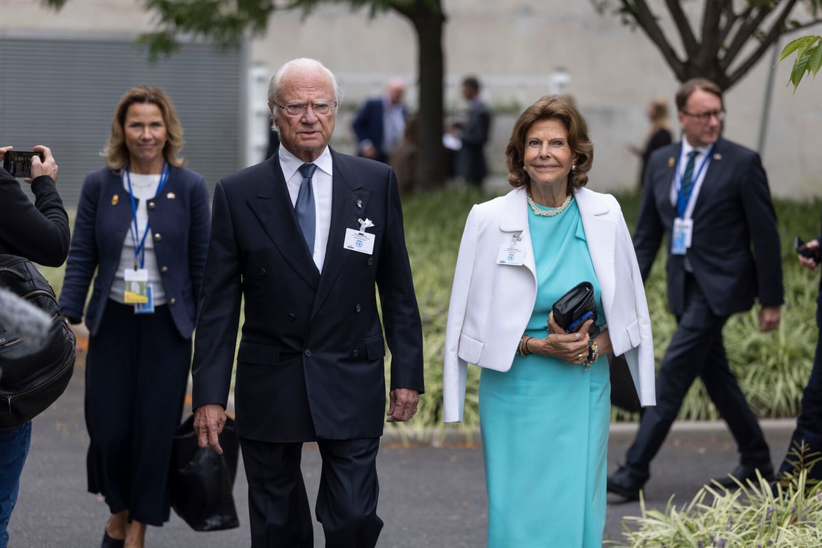 King Carl XVI Gustaf Highlights UN's Impact at 80th Anniversary