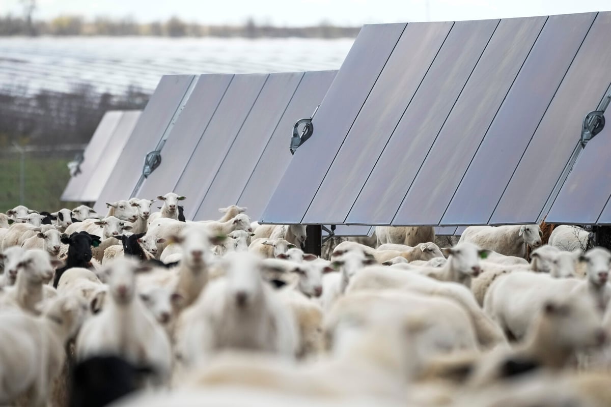 Ongoing Global Solar Boom – "Unstoppable Force"