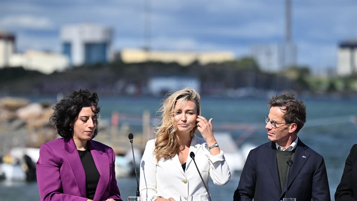 State forced to become largest owner of new nuclear power company Videberg Kraft